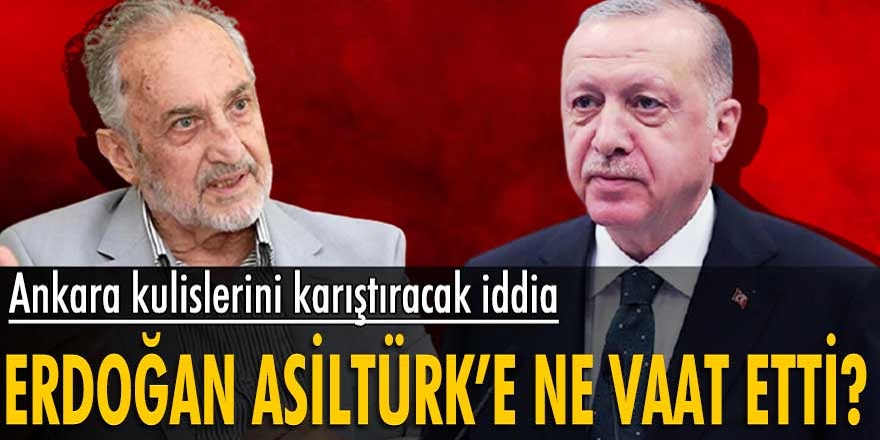 Gündemi sarsan iddia! Cumhurbaşkanı Erdoğan Asiltürk'e neler vaat etti! Her şey ortaya çıktı